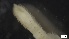  ( - MV21-LG-P329)  @11 [ ] C (2022) Unspecified Biologica Environmental Services