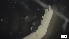  ( - MV21-LG-P329)  @11 [ ] C (2022) Unspecified Biologica Environmental Services