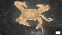  ( - MV21-IO-A156)  @11 [ ] C (2022) Unspecified Biologica Environmental Services