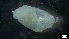  ( - S21-CB-M145)  @11 [ ] C (2022) Unspecified Biologica Environmental Services