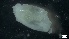  ( - S21-CB-M145)  @11 [ ] C (2022) Unspecified Biologica Environmental Services