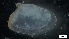  ( - S21-LB-M141)  @11 [ ] C (2022) Unspecified Biologica Environmental Services