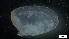  ( - S21-LB-M141)  @11 [ ] C (2022) Unspecified Biologica Environmental Services