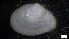  ( - S21-MB-M095)  @11 [ ] C (2022) Unspecified Biologica Environmental Services
