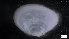  ( - S21-MB-M095)  @11 [ ] C (2022) Unspecified Biologica Environmental Services