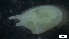  ( - S21-PB-M143)  @11 [ ] C (2022) Unspecified Biologica Environmental Services