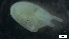  ( - S21-PB-M143)  @11 [ ] C (2022) Unspecified Biologica Environmental Services