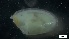  ( - S21-RW-M144)  @11 [ ] C (2022) Unspecified Biologica Environmental Services