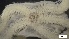  ( - S21-RW-E028)  @11 [ ] C (2022) Unspecified Biologica Environmental Services