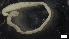  ( - S21-RW-P267)  @11 [ ] C (2022) Unspecified Biologica Environmental Services