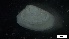  ( - S21-TU-M142)  @11 [ ] C (2022) Unspecified Biologica Environmental Services