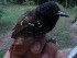  ( - MUSM-Orn-03094)  @11 [ ] CreativeCommons - Attribution Non-Commercial Share-Alike (2018) MHN-UNMSM Universidad Nacional Mayor de San Marcos, Museo de Historia Natural