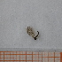  ( - BW4_1_Dip_03)  @11 [ ] CreativeCommons  Attribution Non-Commercial Share-Alike (2023) Unspecified University of Lodz