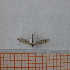  ( - VV10B_4_Dip_01)  @11 [ ] CreativeCommons  Attribution Non-Commercial Share-Alike (2023) Unspecified University of Lodz