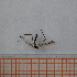  ( - VV2_2_Dip_01)  @11 [ ] CreativeCommons  Attribution Non-Commercial Share-Alike (2023) Unspecified University of Lodz