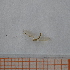  ( - VV6_2_Dip_01)  @11 [ ] CreativeCommons  Attribution Non-Commercial Share-Alike (2023) Unspecified University of Lodz