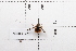  ( - 21BJBDL-020)  @11 [ ] CreativeCommons  Attribution Non-Commercial Share-Alike (2026) Unspecified China Agricultural University