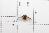  ( - 21BJBDL-022)  @11 [ ] CreativeCommons  Attribution Non-Commercial Share-Alike (2026) Unspecified China Agricultural University