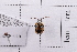  ( - 20BJCP-015)  @11 [ ] CreativeCommons  Attribution Non-Commercial Share-Alike (2026) Unspecified China Agricultural University