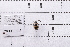  ( - 20BJCP-033)  @11 [ ] CreativeCommons  Attribution Non-Commercial Share-Alike (2026) Unspecified China Agricultural University