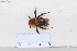  ( - BJCP2020023)  @11 [ ] Unspecified (default): All Rights Reserved  Unspecified Unspecified