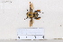  ( - BJCP2020024)  @11 [ ] Unspecified (default): All Rights Reserved  Unspecified Unspecified