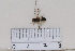  ( - BJCP2020055)  @11 [ ] Unspecified (default): All Rights Reserved  Unspecified Unspecified