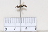  ( - BJCP2020055)  @11 [ ] Unspecified (default): All Rights Reserved  Unspecified Unspecified