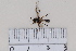  ( - BJCP2020057)  @11 [ ] Unspecified (default): All Rights Reserved  Unspecified Unspecified