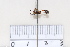  ( - BJCP2020057)  @11 [ ] Unspecified (default): All Rights Reserved  Unspecified Unspecified