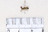  ( - BJCP2020061)  @11 [ ] Unspecified (default): All Rights Reserved  Unspecified Unspecified