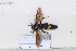  ( - BJCP2020090)  @11 [ ] Unspecified (default): All Rights Reserved  Unspecified Unspecified
