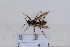  ( - BJDX2020021)  @11 [ ] Unspecified (default): All Rights Reserved  Unspecified Unspecified