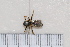  ( - BJFT2020007)  @11 [ ] Unspecified (default): All Rights Reserved  Unspecified Unspecified