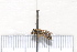  ( - BJFT2020007)  @11 [ ] Unspecified (default): All Rights Reserved  Unspecified Unspecified