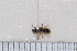  ( - BJFT2020009)  @11 [ ] Unspecified (default): All Rights Reserved  Unspecified Unspecified