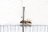  ( - BJFT2020009)  @11 [ ] Unspecified (default): All Rights Reserved  Unspecified Unspecified