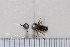  ( - BJFT2020011)  @11 [ ] Unspecified (default): All Rights Reserved  Unspecified Unspecified