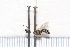  ( - BJFT2020011)  @11 [ ] Unspecified (default): All Rights Reserved  Unspecified Unspecified