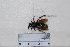  ( - BJFT2020013)  @11 [ ] Unspecified (default): All Rights Reserved  Unspecified Unspecified