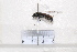  ( - BJFT2020013)  @11 [ ] Unspecified (default): All Rights Reserved  Unspecified Unspecified