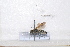  ( - BJFT2020014)  @11 [ ] Unspecified (default): All Rights Reserved  Unspecified Unspecified