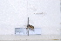  ( - BJFT2020018)  @11 [ ] Unspecified (default): All Rights Reserved  Unspecified Unspecified
