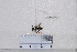  ( - BJFT2020019)  @11 [ ] Unspecified (default): All Rights Reserved  Unspecified Unspecified