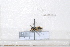  ( - BJFT2020029)  @11 [ ] Unspecified (default): All Rights Reserved  Unspecified Unspecified