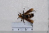  ( - BJFT2020038)  @11 [ ] Unspecified (default): All Rights Reserved  Unspecified Unspecified