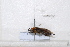  ( - BJFT2020038)  @11 [ ] Unspecified (default): All Rights Reserved  Unspecified Unspecified