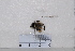  ( - BJMTG2020003)  @11 [ ] Unspecified (default): All Rights Reserved  Unspecified Unspecified