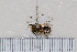  ( - BJMTG2020008)  @11 [ ] Unspecified (default): All Rights Reserved  Unspecified Unspecified