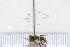  ( - BJMTG2020008)  @11 [ ] Unspecified (default): All Rights Reserved  Unspecified Unspecified